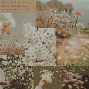 Meet your Posher, Lexis